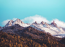 Leyu-武汉三镇战术角球扳平！帕拉西奥斯后点垫射，李松益不慎乌龙