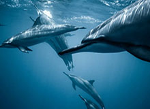 九游之旅：一次关于热爱和社群的游戏体验